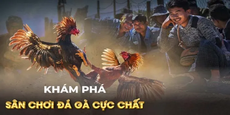Khám Phá Quy Trình Cách Chơi Đá Gà GA28 Tại M88Vin Chuẩn Xác Nhất